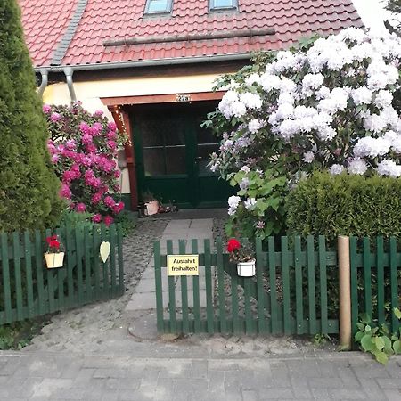 Villa Harzglueck à Thale Extérieur photo