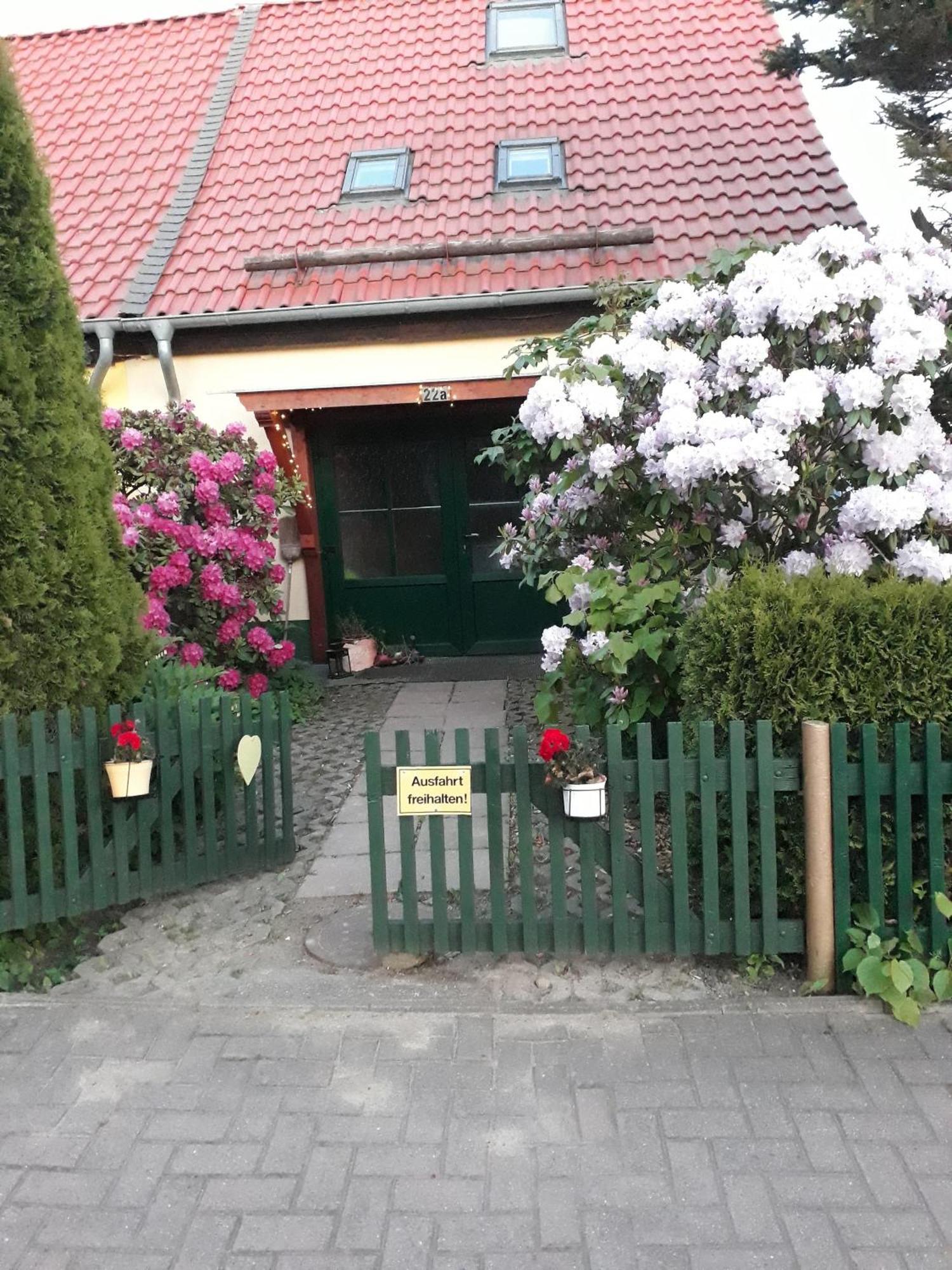 Villa Harzglueck à Thale Extérieur photo